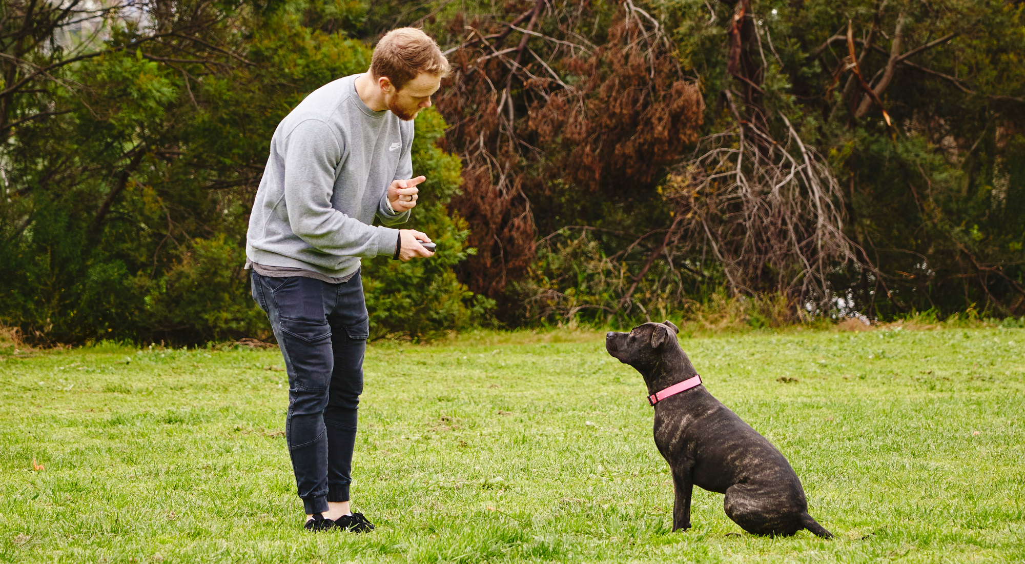 Our Barkfix Is A Safe, Humane And Effective Bark Control & Dog Training Device Using An Ultrasonic Audio Signal. Barkfix Corrects And Eliminates Unwanted Dog Behaviour, Quickly And Effectively! Easy & Safe To Use. Suitable For All Dog Sizes. Wide Control
