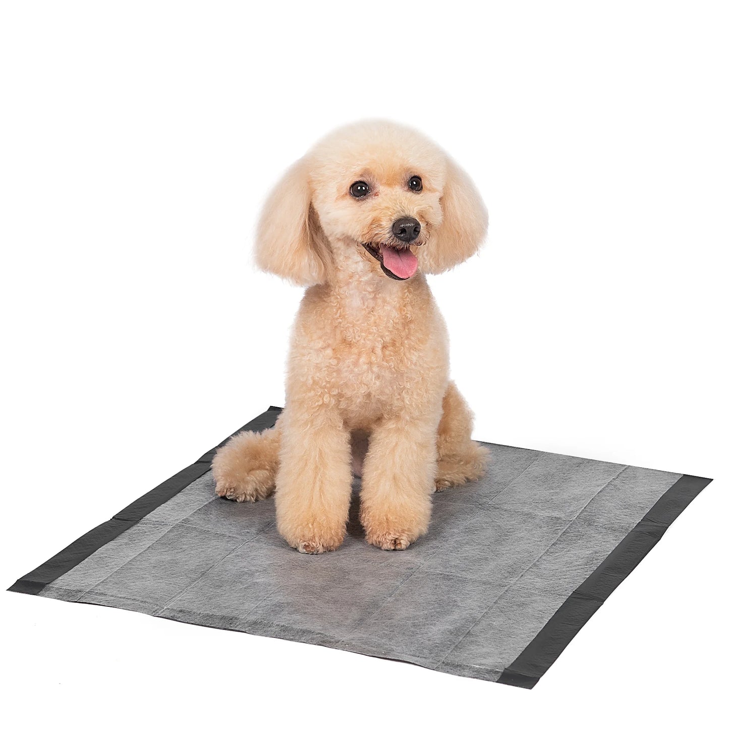 Barkfix Dog Training