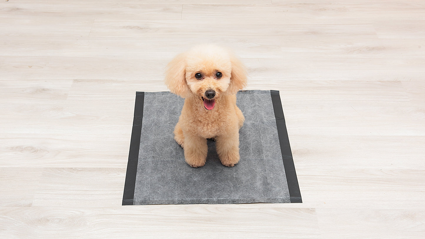 Barkfix Dog Training