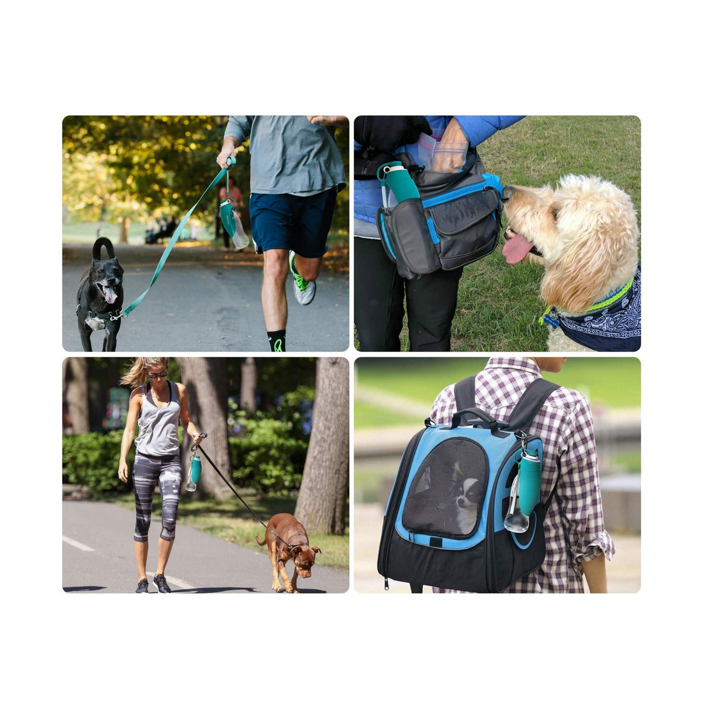 Barkfix Dog Training