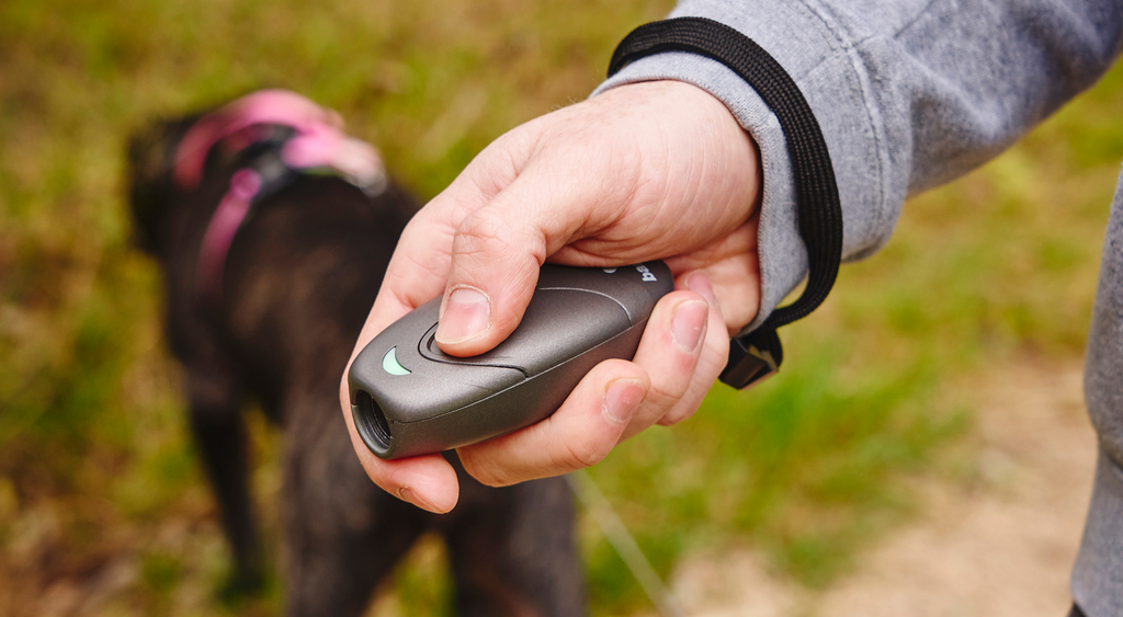 barkfix Ultrasonic Dog Training and anti bark device