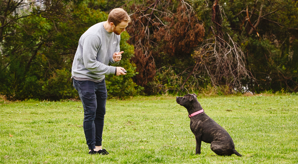 Our Barkfix Is A Safe, Humane And Effective Bark Control & Dog Training Device Using An Ultrasonic Audio Signal. Barkfix Corrects And Eliminates Unwanted Dog Behaviour, Quickly And Effectively! Easy & Safe To Use. Suitable For All Dog Sizes. Wide Control 