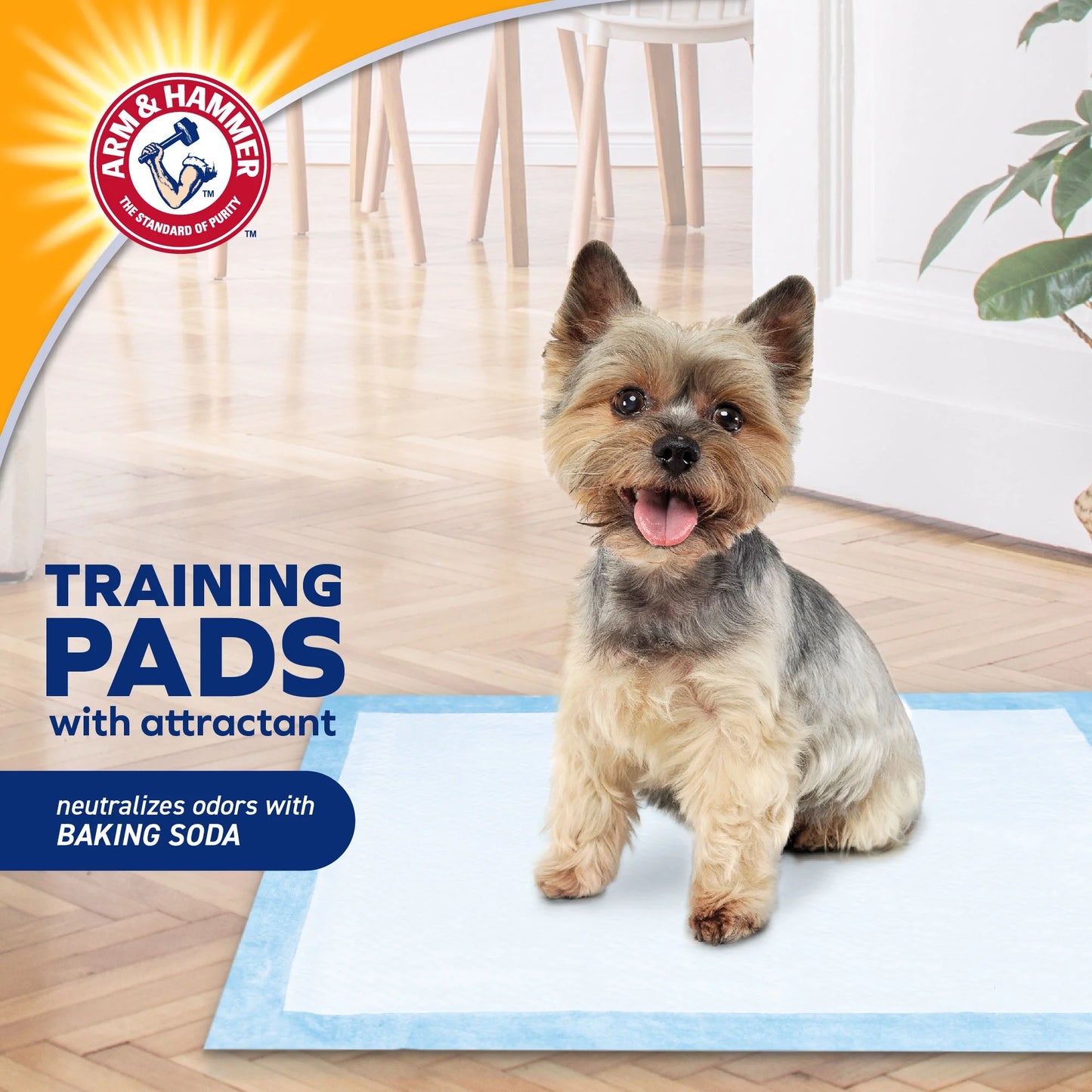 Barkfix Dog Training