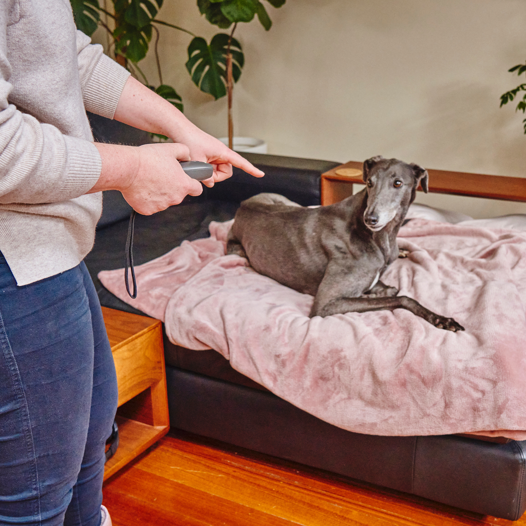 Barkfix™ Ultrasonic Bark Control & Dog Training Device. Trusted & Safe