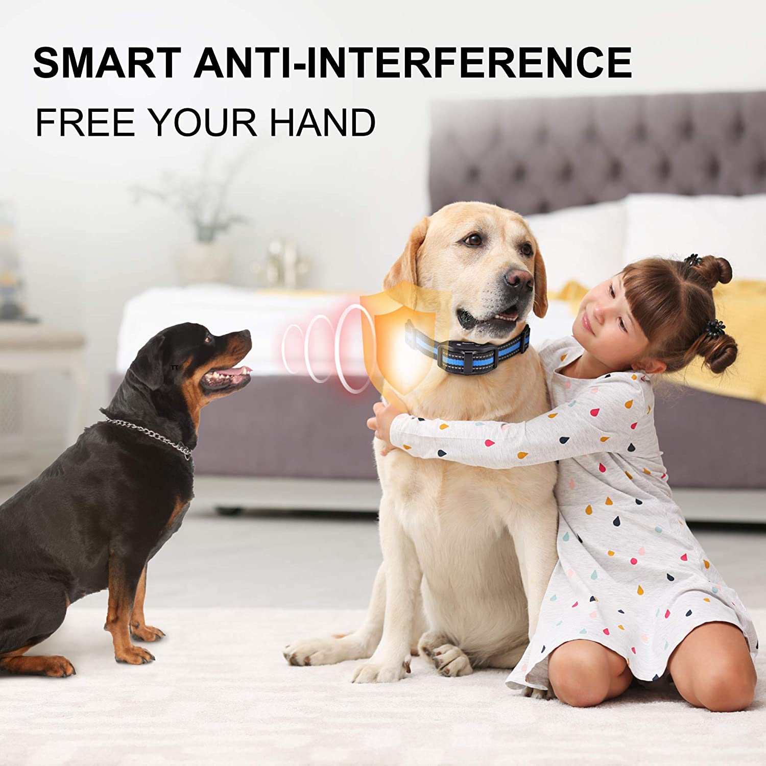 Barkfix Dog Training