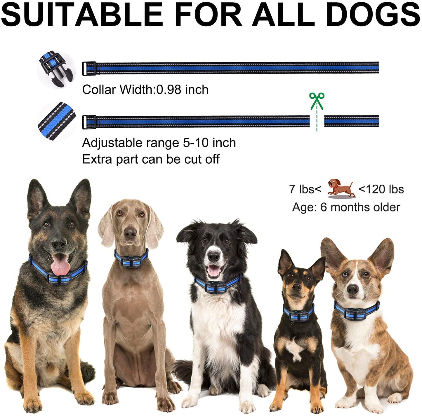 Barkfix Dog Training