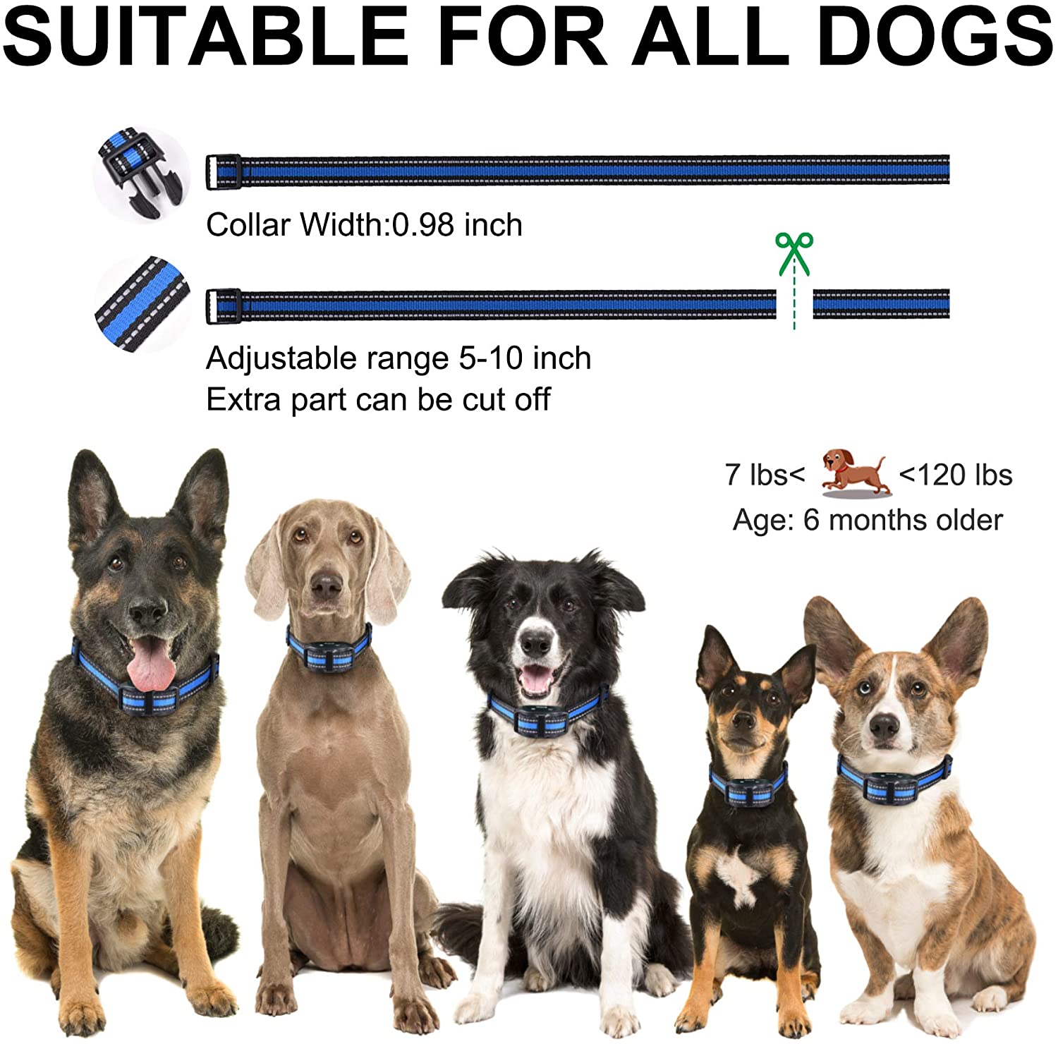 Barkfix Dog Training
